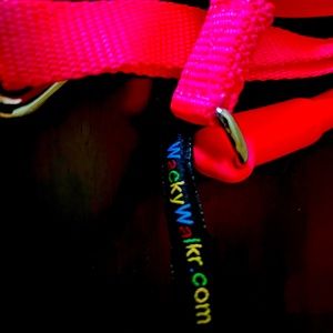 Bright pink wacky walker leash size large for dogs 61-200 lbs.